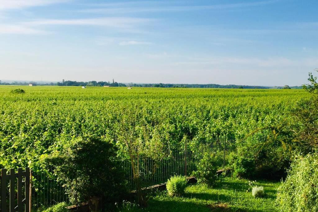 Appartement Avec Vue Sur Les Vignes A Gevrey 外观 照片